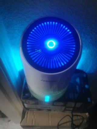 Deshumidificadores eléctricos para hogar Damp DB1