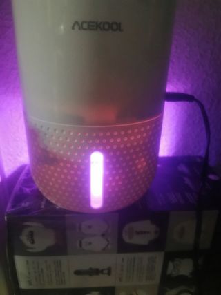 Deshumidificadores eléctricos para hogar Damp DB1