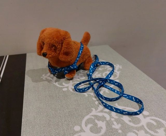 Cagnolino elettrico a batteria