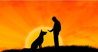 ADIESTRADOR CANINO