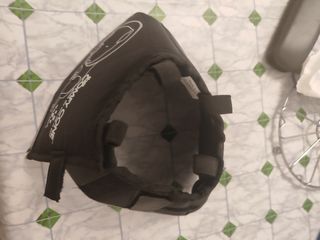 Collare Elisabettiano cane gatto