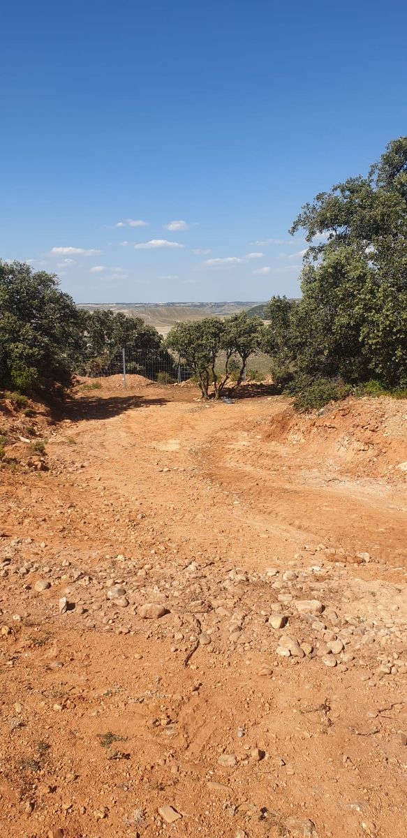 Se alquila terreno para caballo