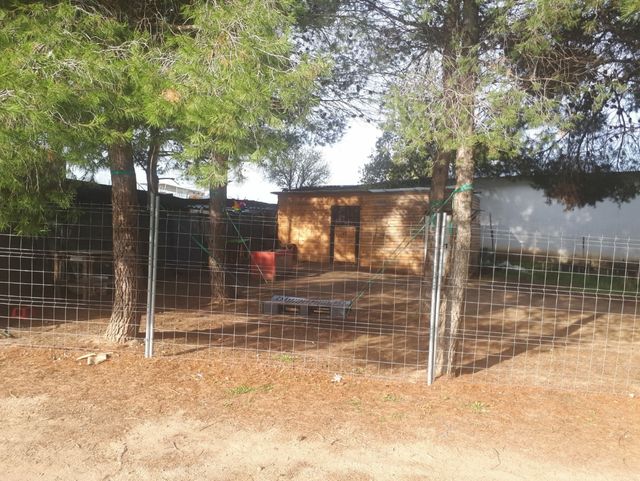 Se alquila terreno para caballo