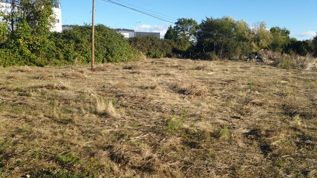 Se alquila terreno para caballo