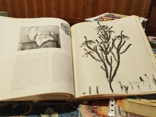 grandes colecciones particulares