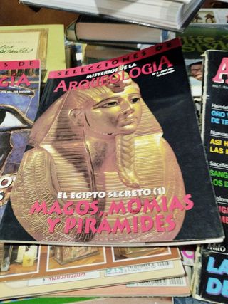 revistas de arquologuia