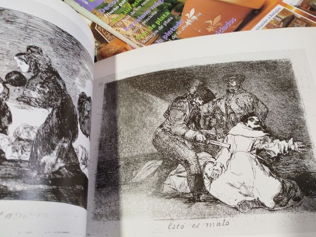 los desastres de la guerra