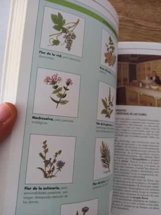 Medicina naturista y alternativa