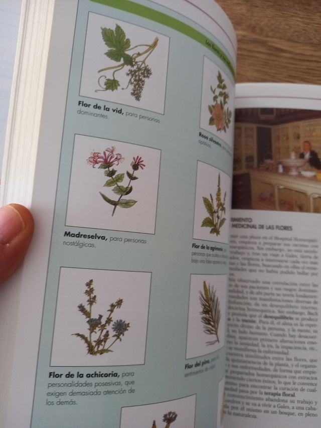 Medicina naturista y alternativa