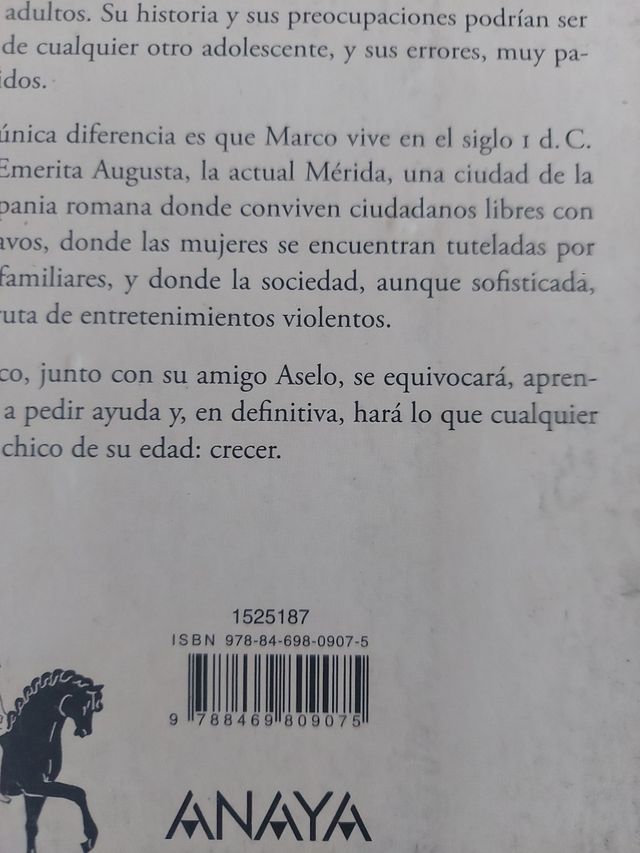 El chico de la flecha