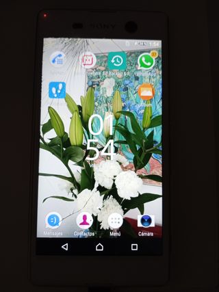 Sony Xperia M5