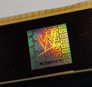 Blister WWE RAW Nintendo DS Lite