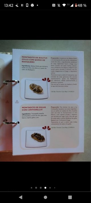 RECETARIO DE TAPAS DEL ALTOARAGÓN