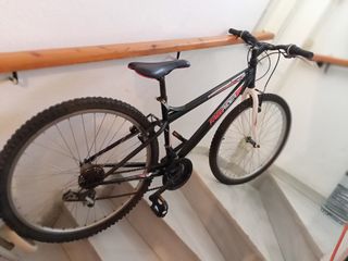 Bicicleta FREE RIDER