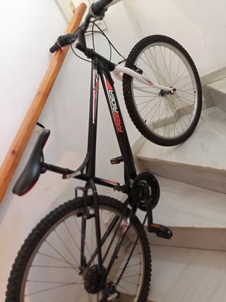 Bicicleta FREE RIDER