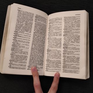 Diccionario de francés de VOX