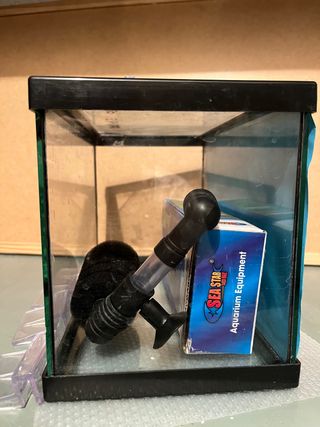 Acuario cria o Betta 5l