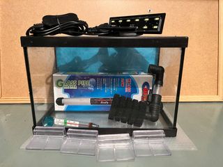 Acuario cria o Betta 5l