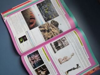 Libros de texto
