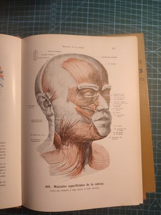Atlas de anatomía humana