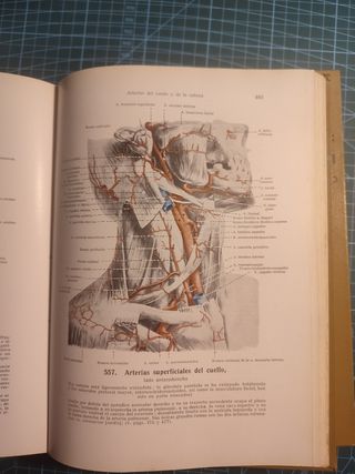Atlas de anatomía humana