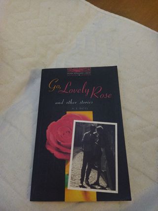 Libros inglés principiantes