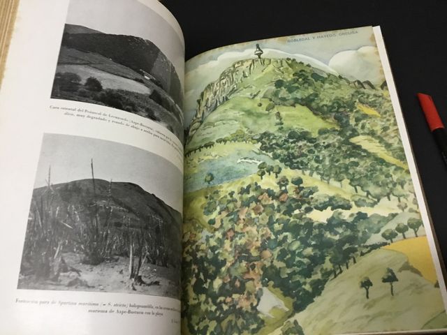 Libro vizcaya botánica antigua