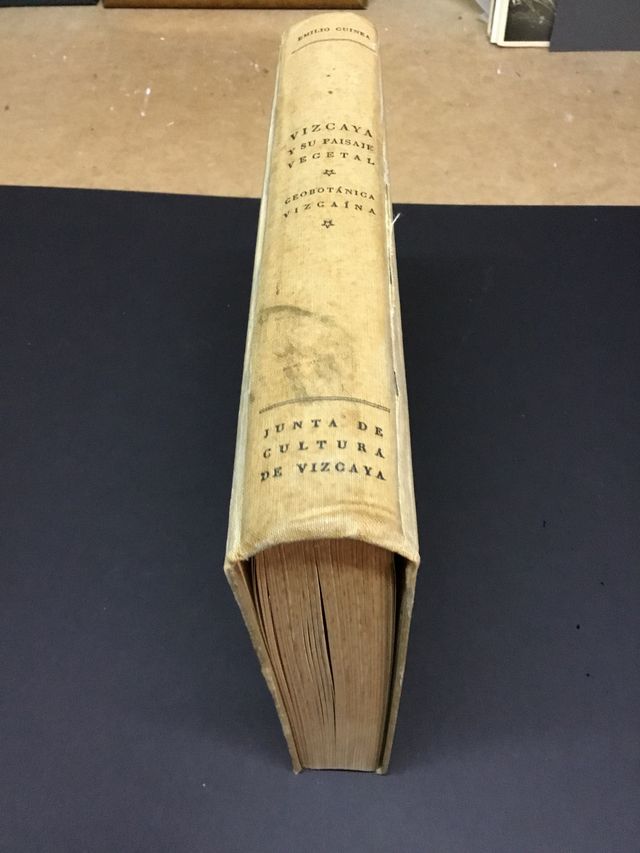 Libro vizcaya botánica antigua