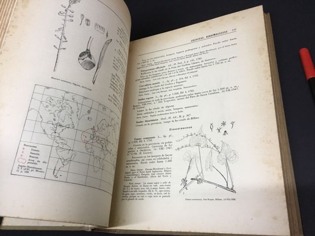 Libro vizcaya botánica antigua