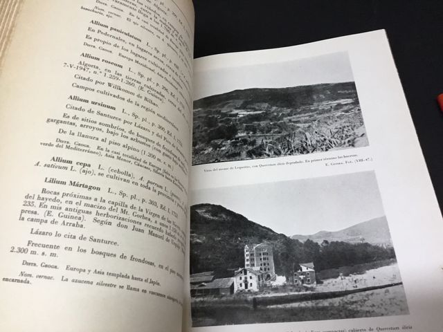 Libro vizcaya botánica antigua