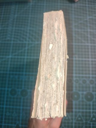 Felipe II Rey de España