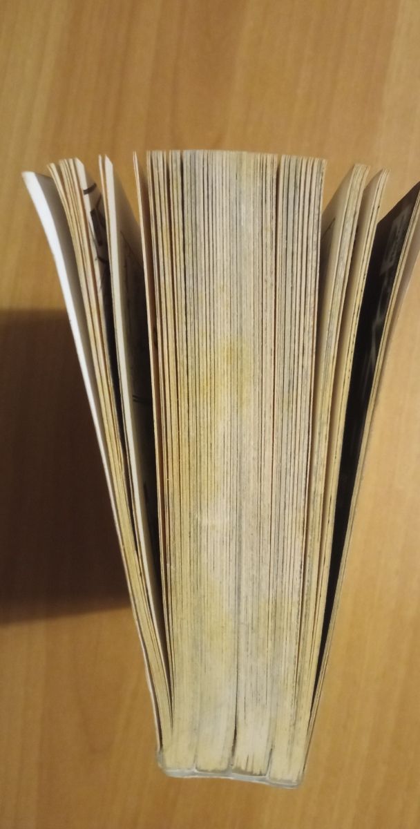 Pokemon manga edizione speciale n.1