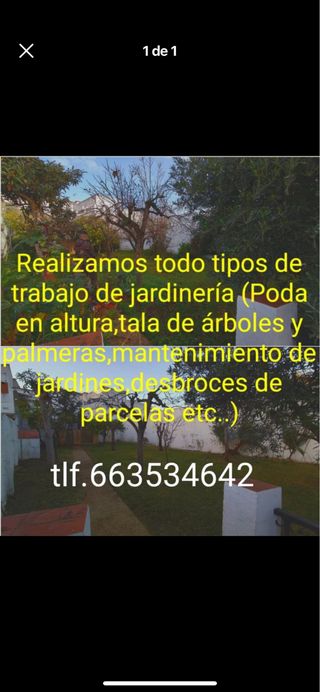 poda y jardines