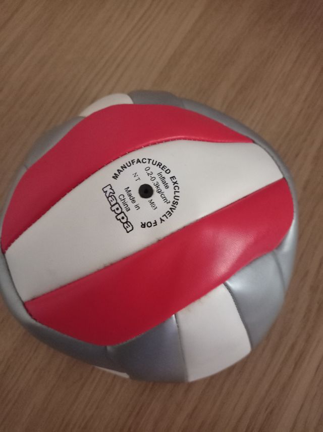 Balón voleibol