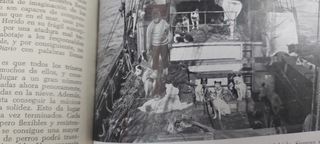 La conquista del sexto continente