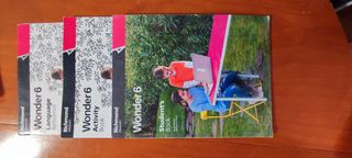 Libros 6 primaria