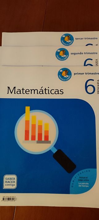 Libros 6 primaria