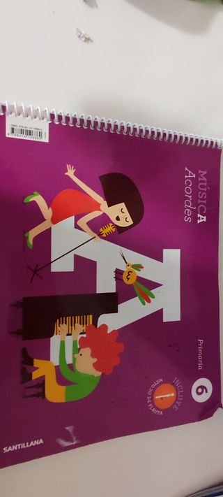 Libros 6 primaria