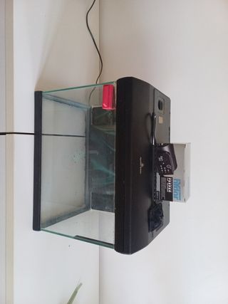 Acquario e Mangiatoia Automatica