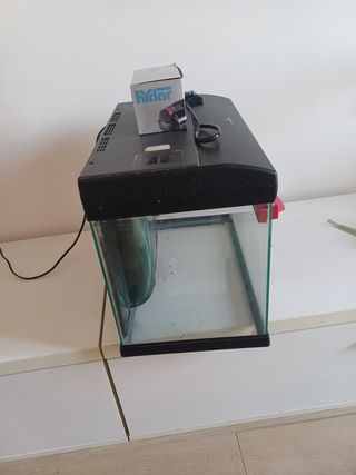 Acquario e Mangiatoia Automatica