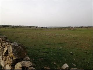Terreno en alquiler