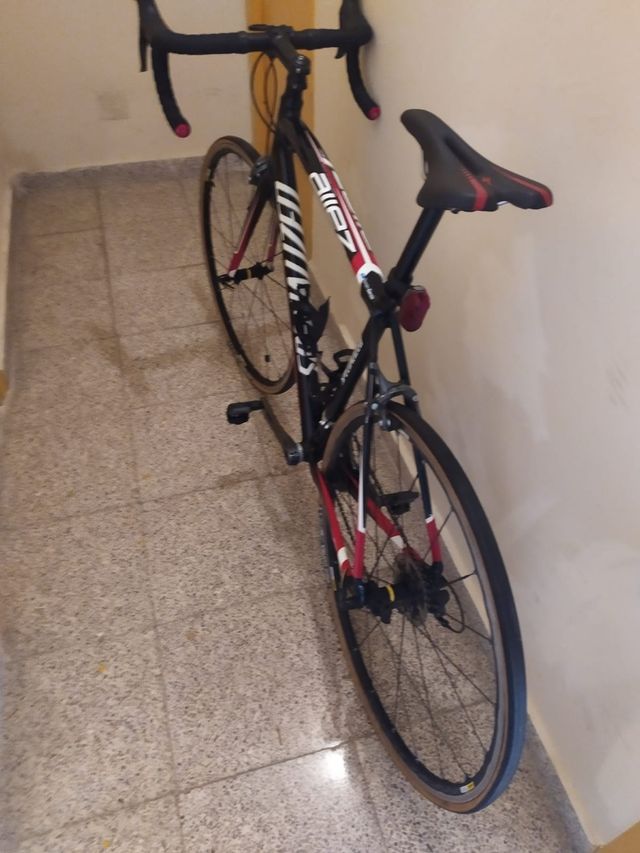 SPECIALIZED ALLEZ