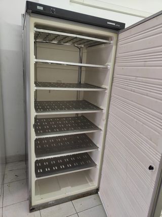 Congelador industrial