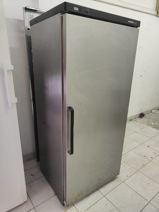 Congelador industrial