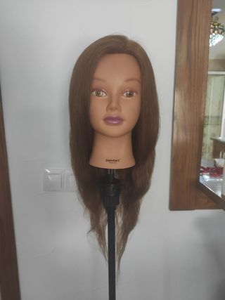 Cabeza peluquería steinhart