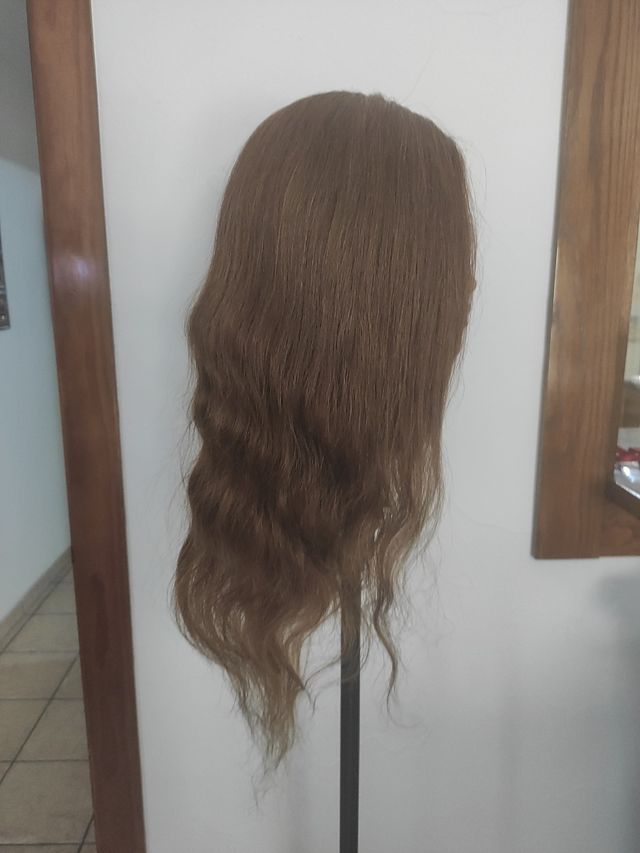 Cabeza peluquería steinhart