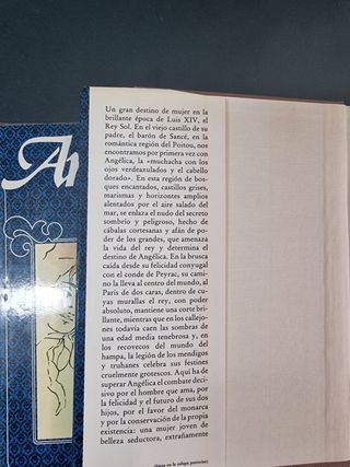 Lote 2 libros