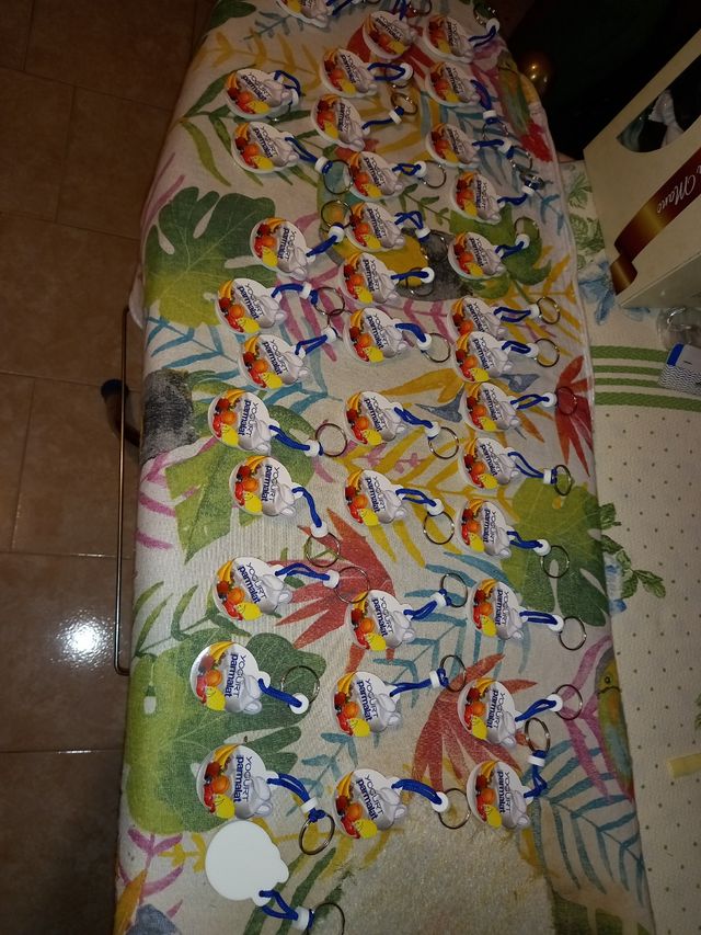 Portachiavi Parmalat