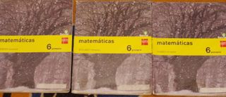 Libro matemáticas 6 primaria SM SAVIA