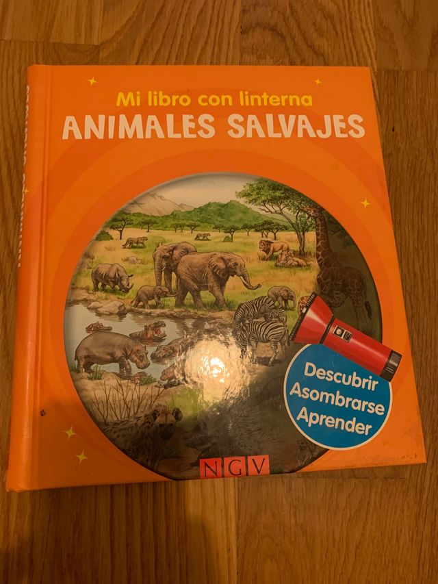mi libro con linterna